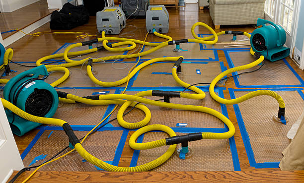 Professional Burst Pipe Water Damage technician working in Massapequa Park, NY